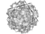 Buckyball 3D Model