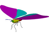 Butterfly 3D Model preview