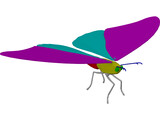 Butterfly 3D Model