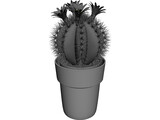 Cactus Pottet Round 3D Model preview