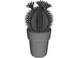 Cactus Pottet Round 3D Model