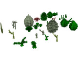 Cactuses Collection 3D Model preview