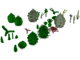 Cactuses Collection 3D Model