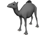 Camel 3D Model preview