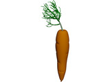 Carrot 3D Model preview