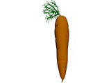 Carrot 3D Model