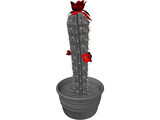 Castus 3D Model