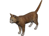 Cat 3D Model preview