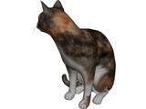 Cat Sitting Red Haired 3D Model preview