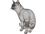 Cat Sitting Red Haired 3D Model