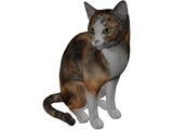 Cat Sitting Red Haired 3D Model