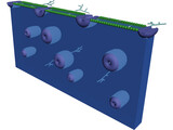 Cell Membrane 3D Model preview