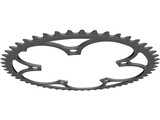 Chainring 53T 3D Model