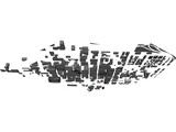 Charlotte Downtown 3D Model