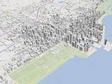 Chicago City Map 3D Model preview