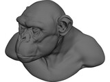 Chimp Head 3D Model preview
