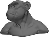 Chimp Head 3D Model