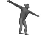 Chimpanzee 3D Model