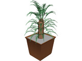 Cica Palm Tree with Sisal Vase 3D Model preview