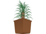 Cica Palm Tree with Sisal Vase 3D Model