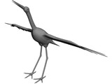 Ciconia Stork 3D Model preview