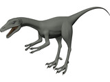 Compsognathus 3D Model preview