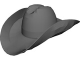 Cowboy Hat 3D Model preview