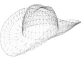 Cowboy Hat 3D Model
