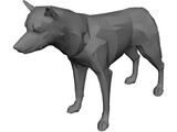 Coyote 3D Model preview