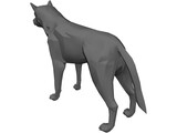 Coyote 3D Model