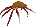 Crab (Maia Squinado) 3D Model