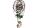 Crane Hook Medium 3D Model