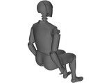 Crash Dummy 3D Model