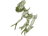 Creature 3D Model