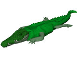 Crocodile 3D Model preview