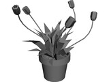 Dandelion 3D Model preview
