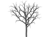 Dead Tree 3D Model preview