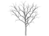 Dead Tree 3D Model
