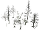 Dead Trees 3D Model preview
