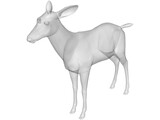 Deer 3D Model