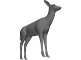 Deer 3D Model