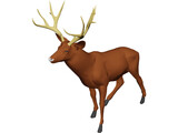 Deer Mule 3D Model preview