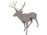 Deer Mule 3D Model