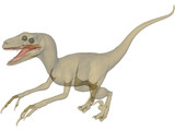 Deinonychus 3D Model