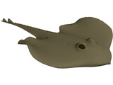 Devilfish 3D Model