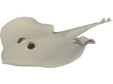 Devilfish 3D Model