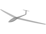 DG 100 Glider 3D Model