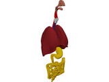 Digestive Tract and Respiratory 3D Model