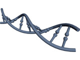 DNA 3D Model preview