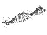 DNA Human 3D Model preview